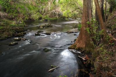 A beautiful Florida river