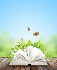 Book publishing success